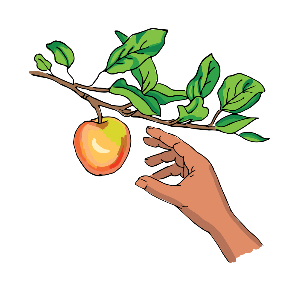 Hand drawn animation of a hand reaching out to pick an apple from a tree branch