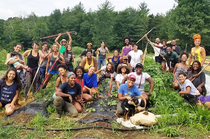 Soul Fire Farm is a BIPOC-centered community farm committed to ending racism and injustice in the food system.