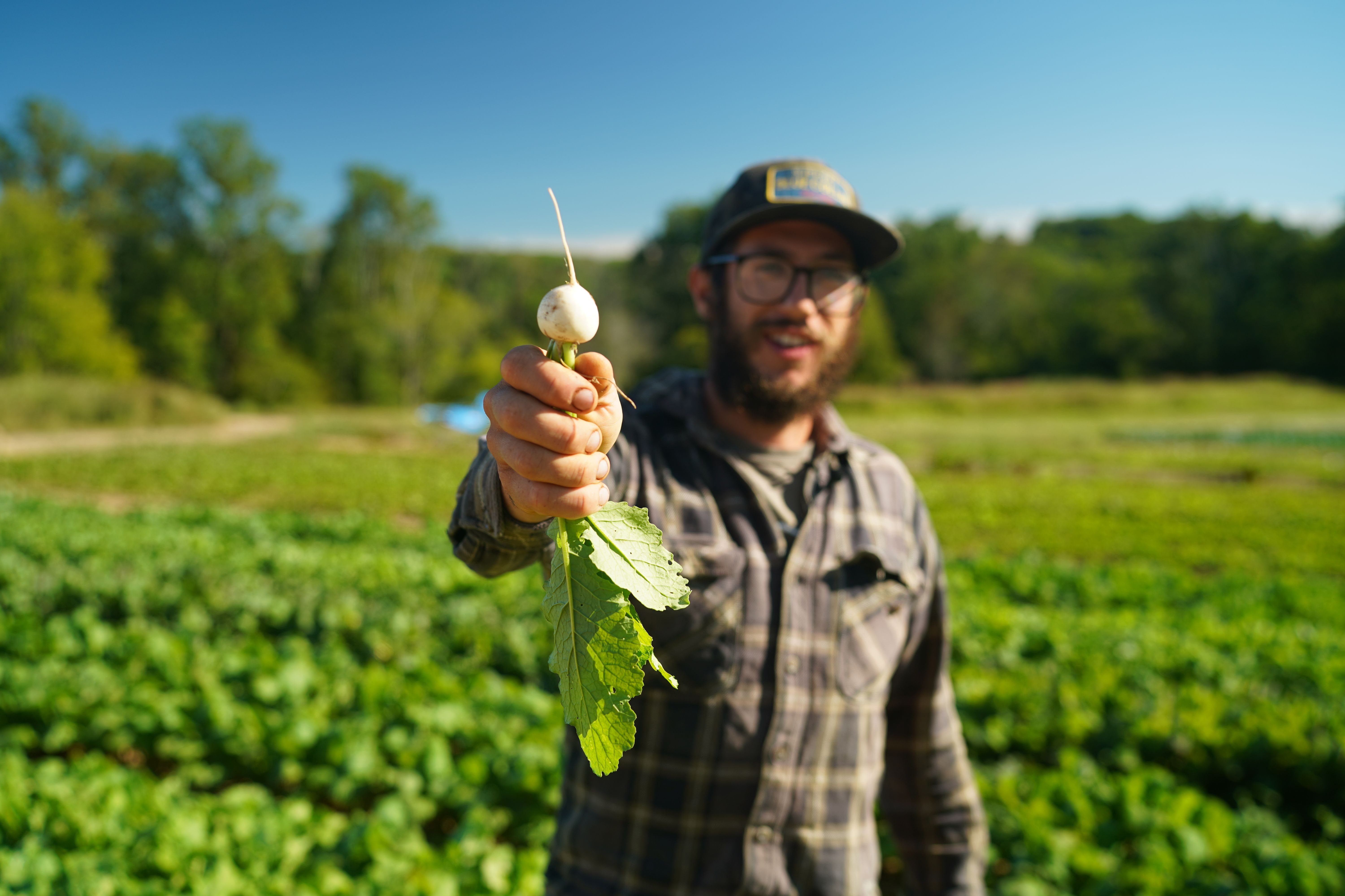 Farmer holding turnip.